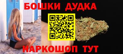 сатива Кандалакша