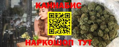 сатива Кандалакша