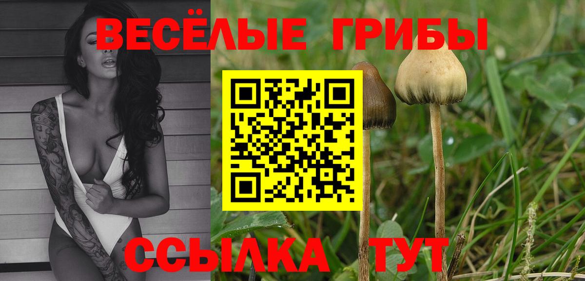 Галлюциногенные грибы прущие грибы Краснодар