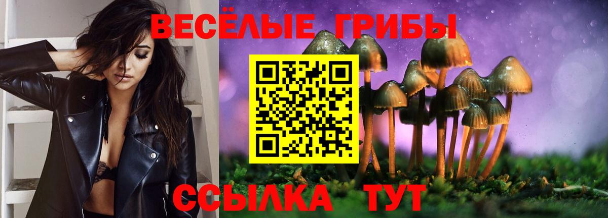 Псилоцибиновые грибы Magic Shrooms  Псилоцибиновые грибы ЛСД  Вход с VPN  Краснодар 